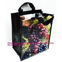 Reusable Shopping Bags